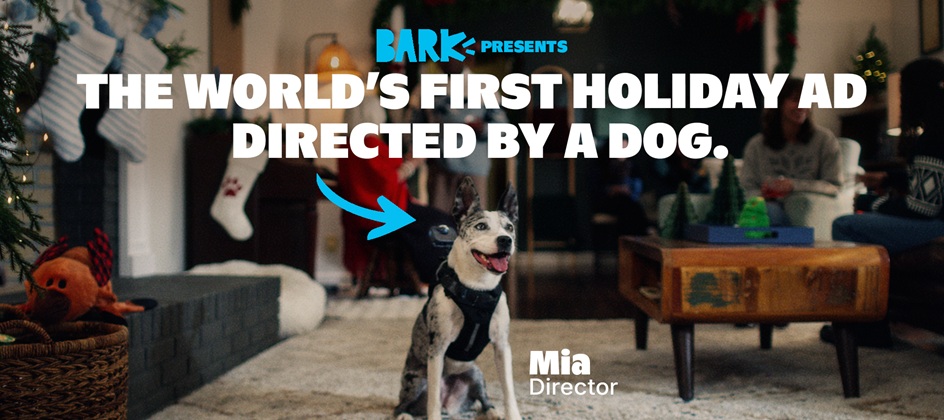 BARK lets dogs direct holiday ad, embraces ‘merry chaos’